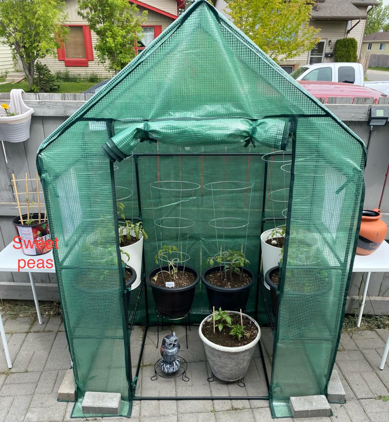 Greenhouse for Outdoors